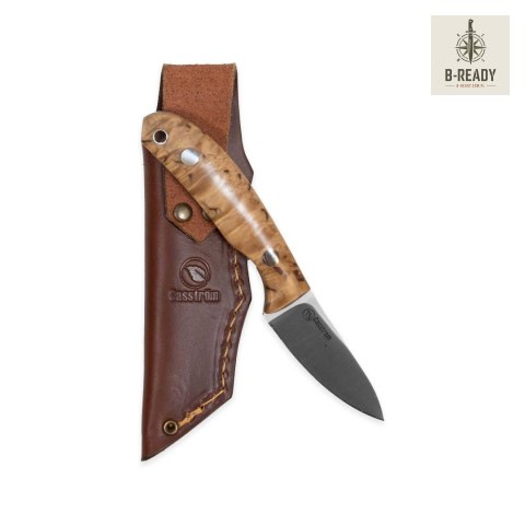 Nóż Casström Safari Mini Hunter Stab Curly Birch