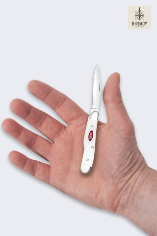 Nóż Składany Case SparXX Peanut SS White