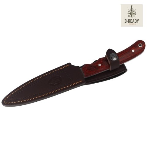 Nóż Muela Criollo-14 Coral Pakka Wood, Satin 1.4116