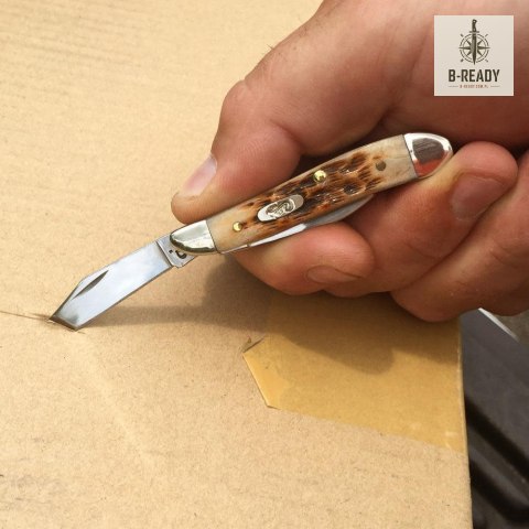 Scyzoryk Case Peanut SS Amber Bone